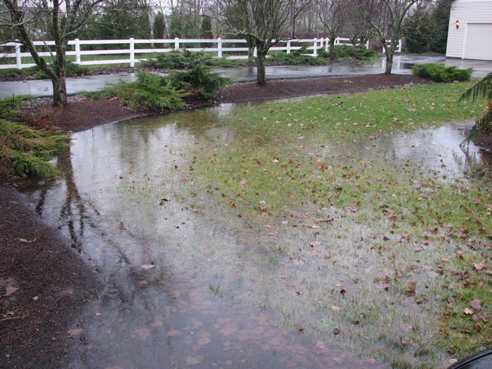 Proper drainage around your foundation and property should prevent heavy rain from leaking into your basement. If there are signs of water in your basement, fix them immediately before they become too costly.