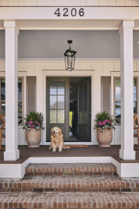 Golden retriever sitting on brick steps in front of a white porch with a hanging lantern and two large potted hydrangeas, doorway behind.