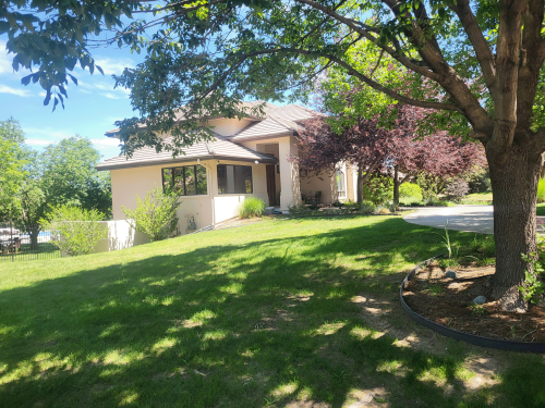 Suburban front yard with a beige single-story house, tiled roof, and large shade trees under a bright blue sky.
